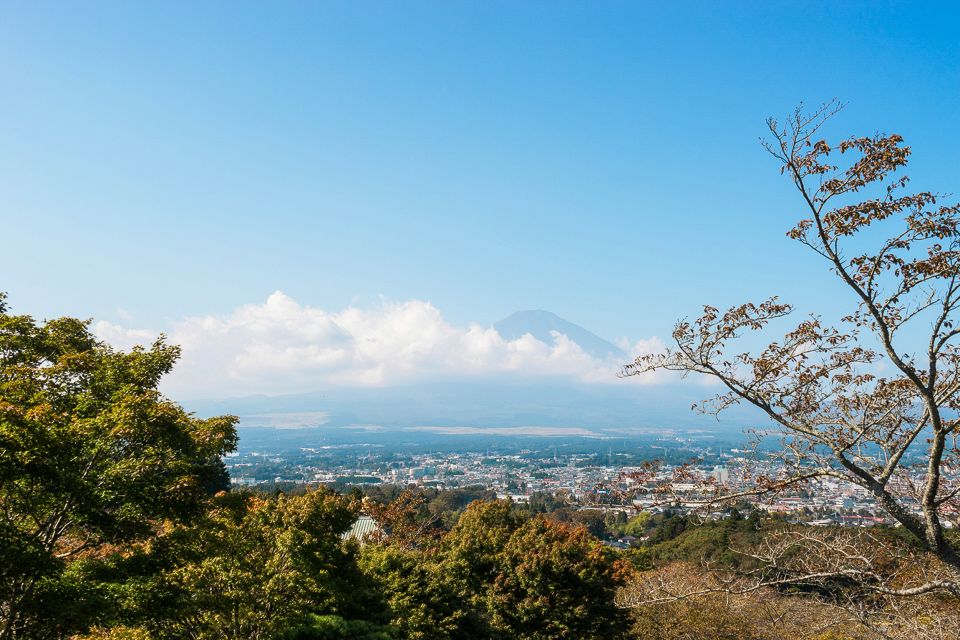 From Tokyo: Mt. Fuji Full-Day Sightseeing Trip - Customer Reviews