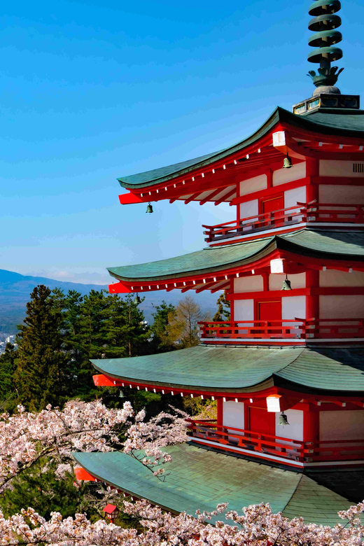 From Tokyo MT Fuji Fully Customize Tour With English Driver - Restrictions