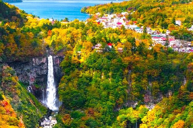 From Tokyo: Nikko Private 1-Day Sightseeing Trip With Guide - Toshogu Shrine