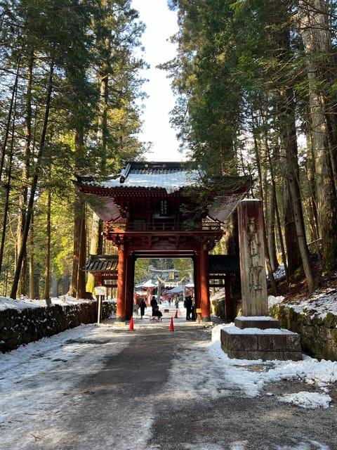 From Tokyo: Private Nikko World Heritage Sights Day Trip - How to Book