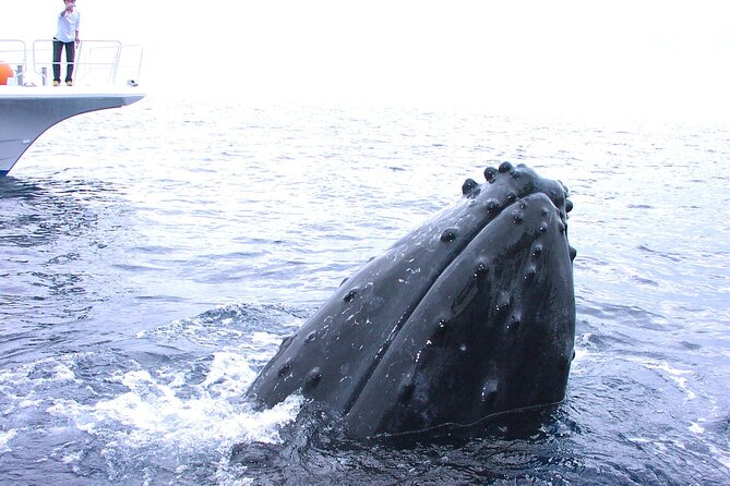 Full Day Guided Boat 2diving in Kerama Islands（License Required） - Directions