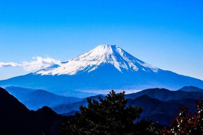 Full Day Mt.Fuji Chartered Taxi Tour - Customizable Itinerary