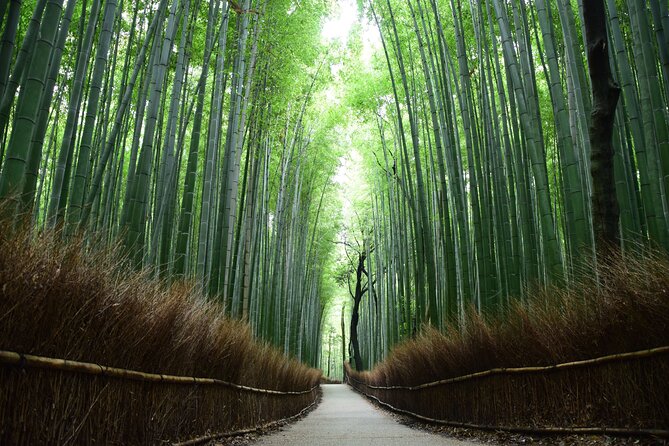 Full-Day Private Bamboo Grove and Golden Temple in Kyoto Tour - Important Reminders