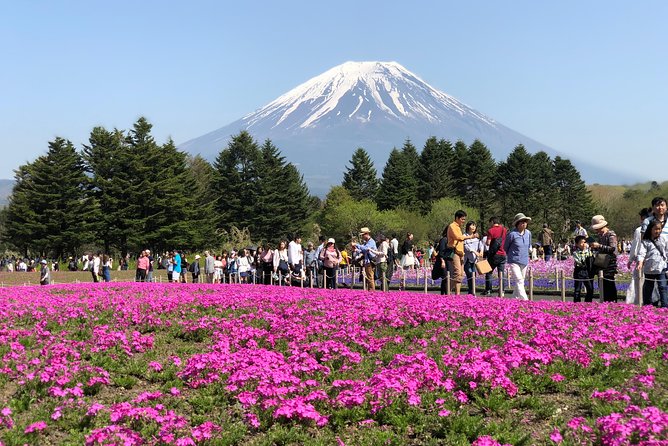 Full Day Private Fuji Tour With English Driver & Muslim Friendly - Copyright Information and Terms