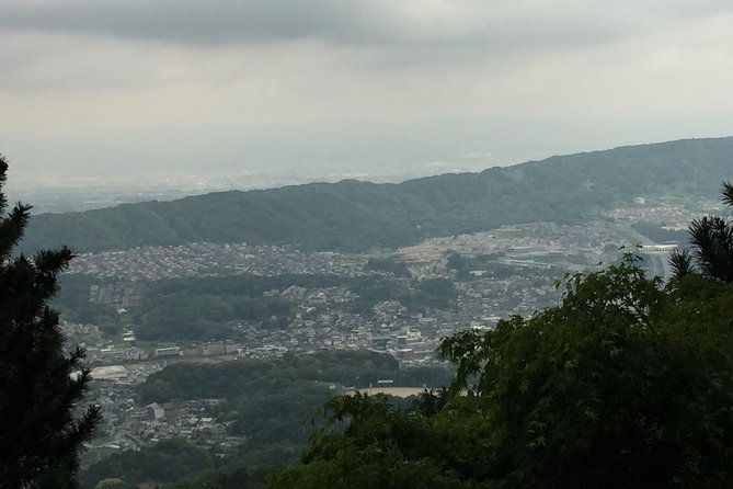 Full-Day Private Guided Tour to a Japanese Mountain Near Osaka: Ikoma - Pricing Information