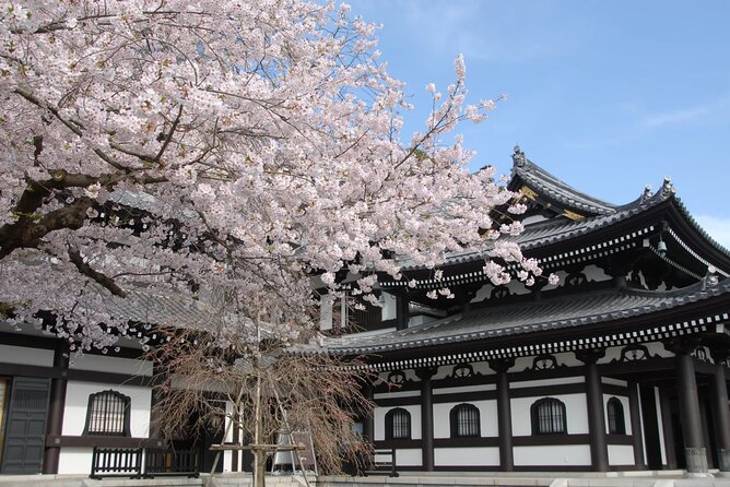 Full Day Private Tour In Kamakura English Speaking Driver - Tour Highlights