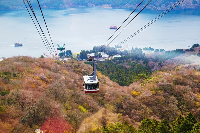 Full Day Private Tour Mt. Fuji, Hakone and Lake Ashi - Common questions