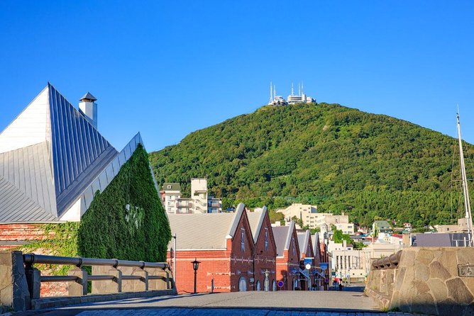 Hakodate Full-Day Private Tour With Government-Licensed Guide - City Highlights