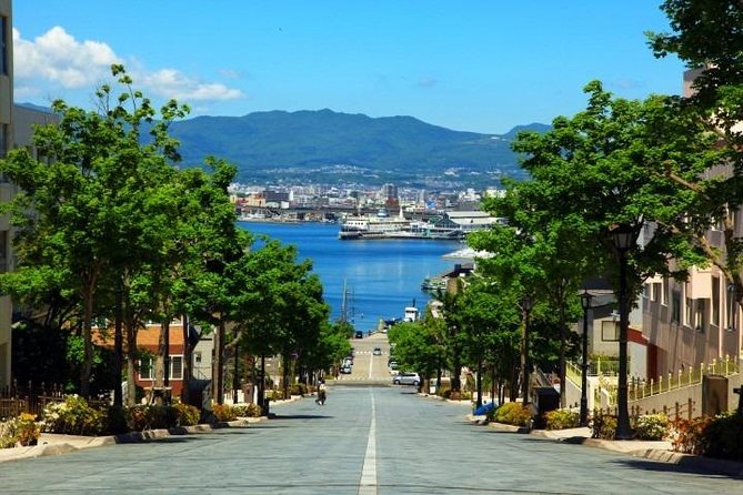 Hakodate Half-Day Private Tour With Government-Licensed Guide - Background