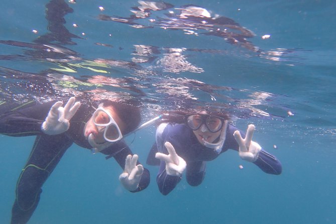 Half-Day Snorkeling CourseRelieved at the BeginningEven in the Sea of Izu, Veteran Instructors Will Guide and Assist You Throughout the Snorkeling Experience - Instructor Expertise