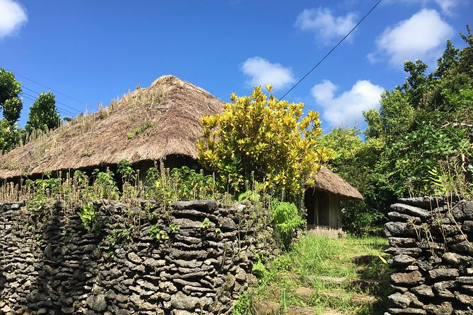 Half-Day Walking Tour to Indigenous Iriomote Village 2024 - Iriomote Island - Booking Details