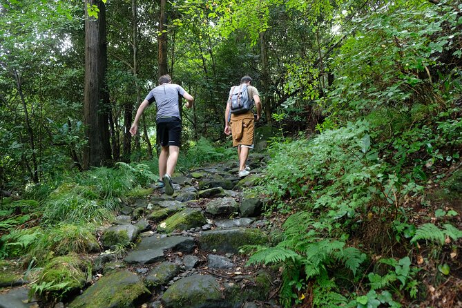 Hike Japan Heritage Hakone Hachiri With Certified Mountain Guide - Expert Guided Experience