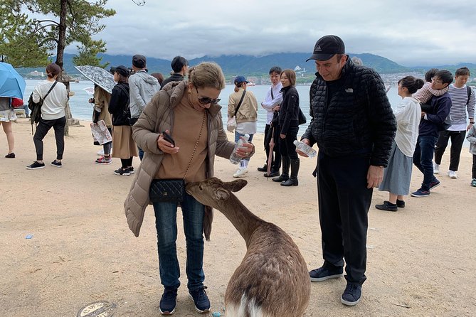 Hiroshima / Miyajima Full-Day Private Tour With Government Licensed Guide - Cancellation and Changes