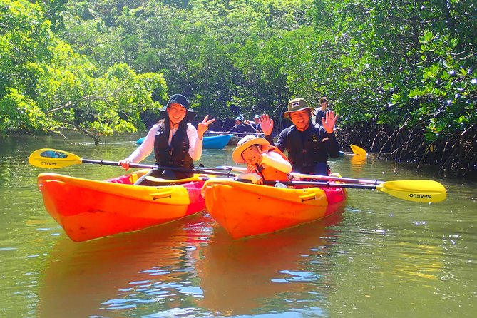 Iriomote Island, Okinawa - Canoeing Tour in a World Heritage Site - Confirmation Details