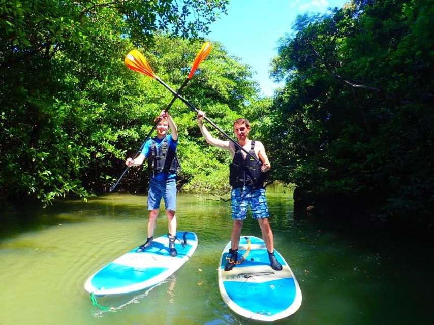 Ishigaki Island: 2-Hour Miyara River Kayaking Tour - Inclusions Provided