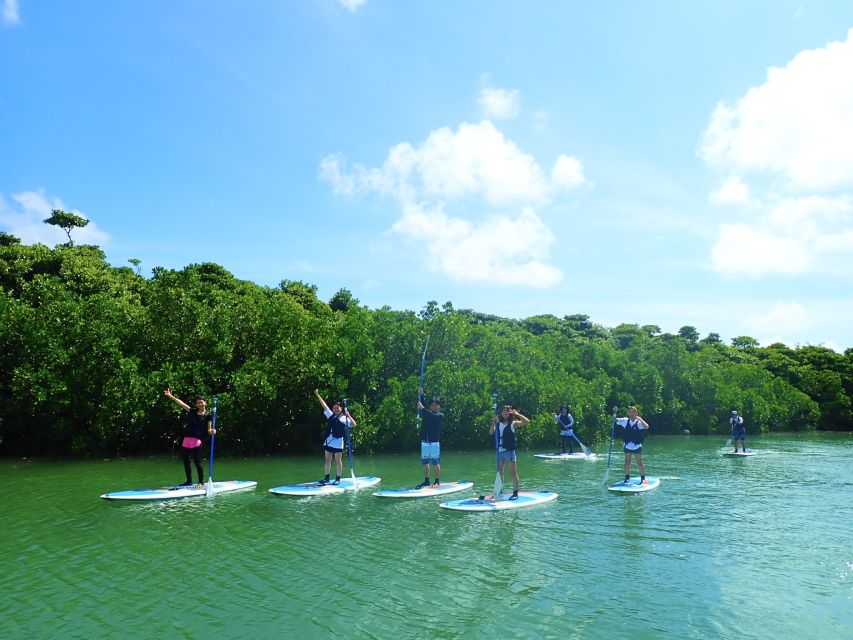 Ishigaki Island: SUP/Kayaking and Snorkeling at Blue Cave - Customer Reviews