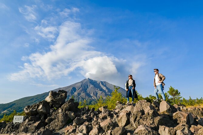 Kagoshima Custom Tour With Private Car and Driver - Tour Accessibility and Group Size