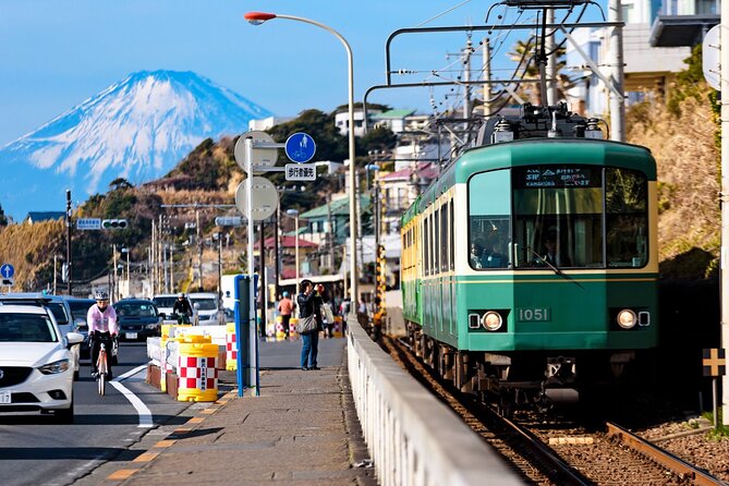 Kamakura or Tokyo Castamized Private Tour -English Speaking Guide - Additional Information