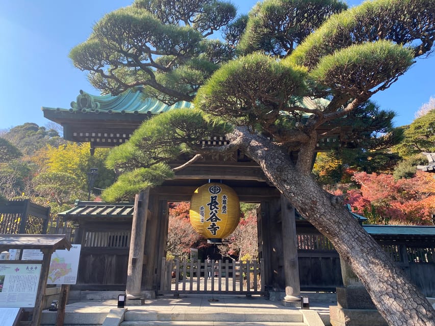 Kamakura & Yokohama: Featured Tour - Important Information