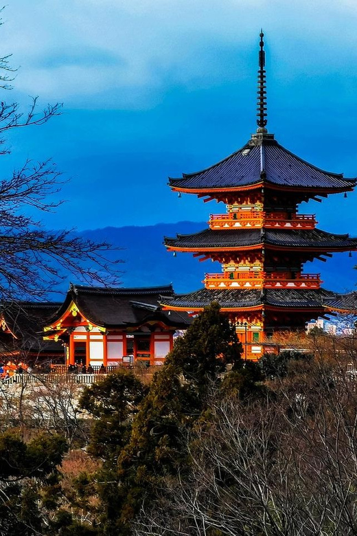 Kansai 10-Hour Chartered Day Trip｜Kyoto - Important Booking Information