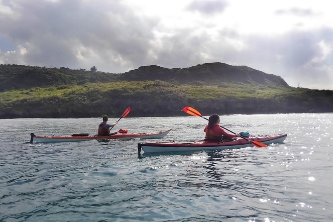 Kayak Mangroves or Coral Reef: Private Tour in North Okinawa - Frequently Asked Questions