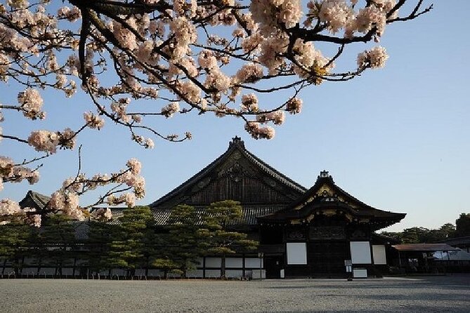 Kyoto and Nara 1 Day Trip - Golden Pavilion and Todai-Ji Temple From Kyoto - Logistics and Accessibility
