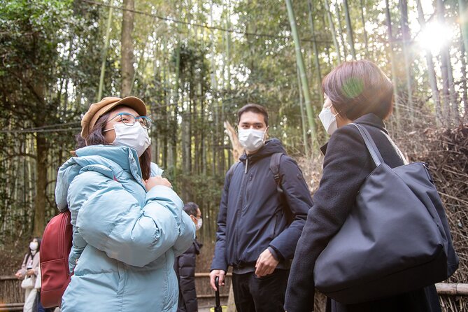 Kyoto Arashiyama Best Spots 4h Private Tour With Licensed Guide - Accessibility Information