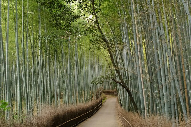 Kyoto Bamboo Forest Electric Bike Tour - Booking Information