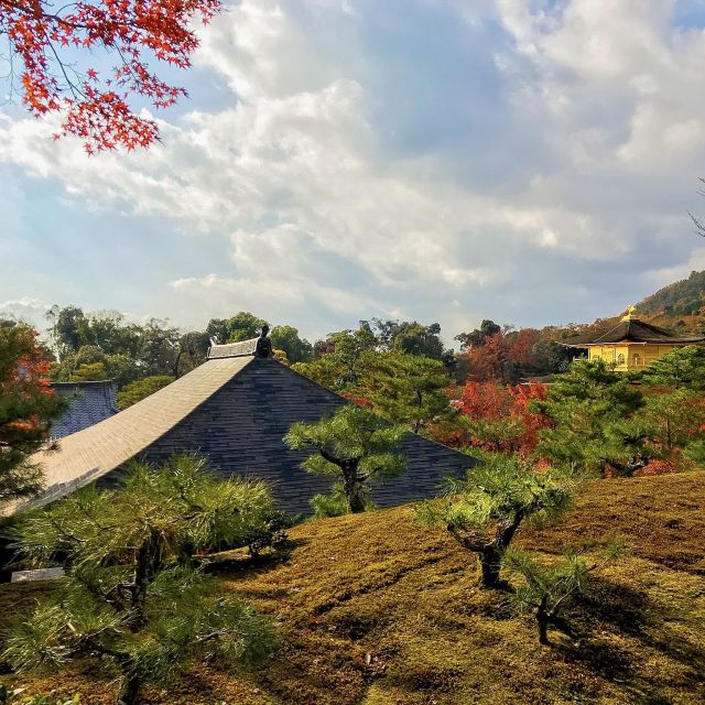 Kyoto: City Secrets Ebike Tour - Important Information
