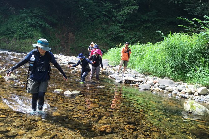 Matt Canyon River Trekking, Nishiwaga Town, Iwate Prefecture - Accessibility and Safety Concerns