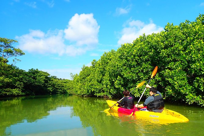 Miyara River 90-Minute Small-Group SUP or Canoe Tour 2024 - Ishigaki - Confirmation and Accessibility