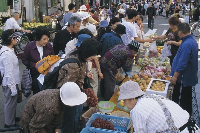 Morioka Full-Day Private Tour With Government-Licensed Guide - Accessibility Details