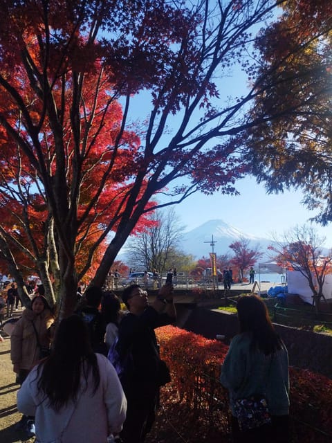 Mount Fuji - Hakone & Onsen Full Day Private Tour - Common questions