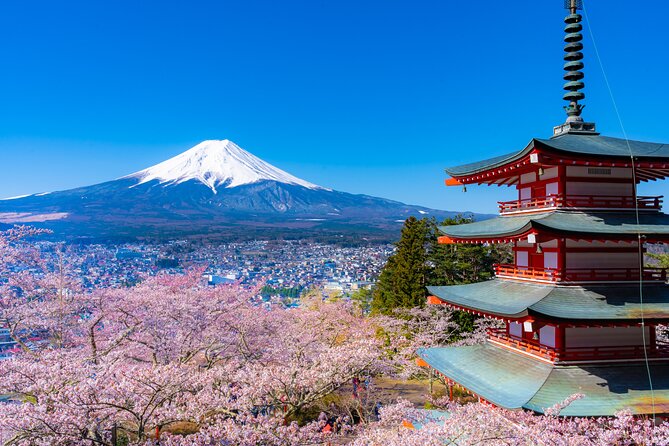 Mt. Fuji Cherry Blossom One Day Tour From Tokyo - Safety and Emergency Information