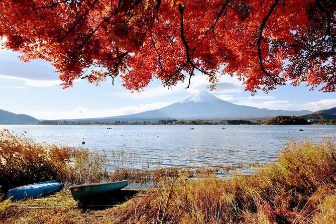 Mt Fuji Day Trip From Tokyo by Car With Photographer Guide - Itinerary and Sightseeing Stops