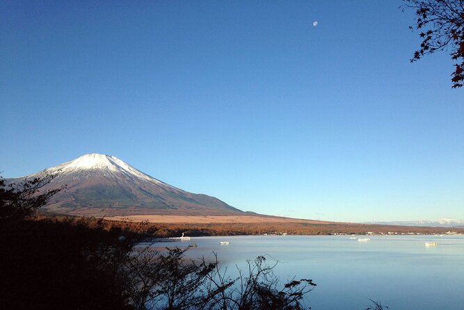 Mt Fuji Full-Day Tour By Car - Architectural and Cultural Highlights