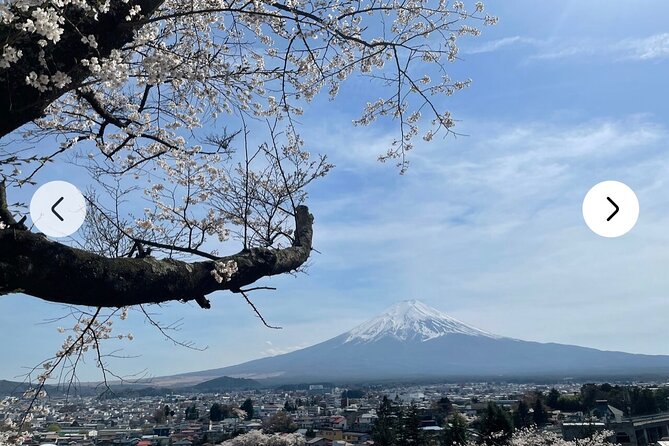 Mt. Fuji, Hakone Full-Day Private Tour With English Driver Guide - Common questions