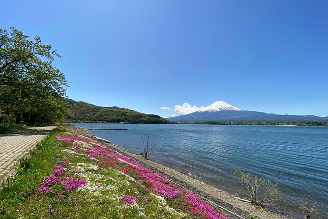 Mt Fuji Half-Day Tour By Car - Cancellation Policy