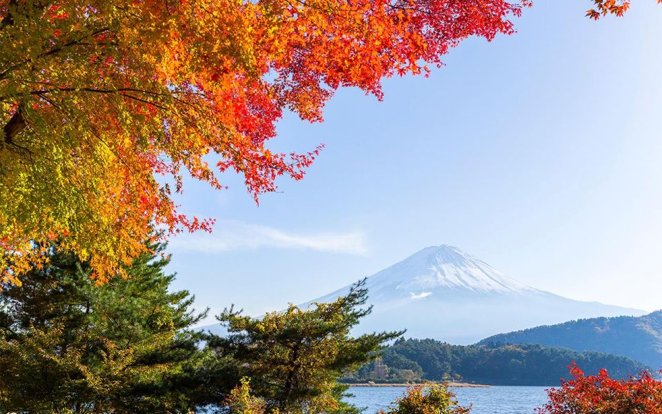 Mt Fuji : Highlight Tour and Unforgettable Experience - Common questions