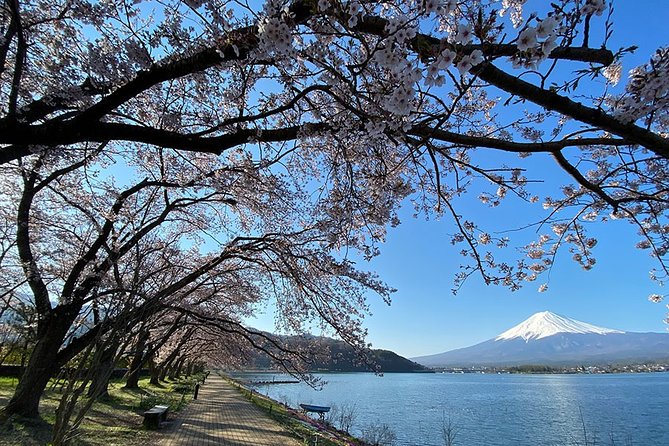 Mt Fuji Lakeshores Full-Day Bike Tour - Cancellation Policy