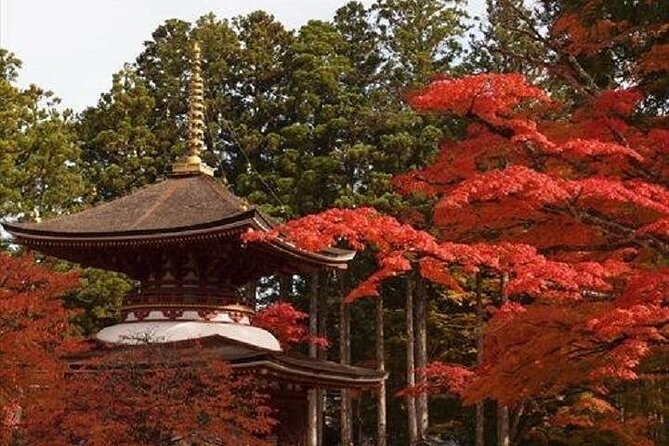 Mt Koya 1 Day Walking Tour From Osaka - Frequently Asked Questions