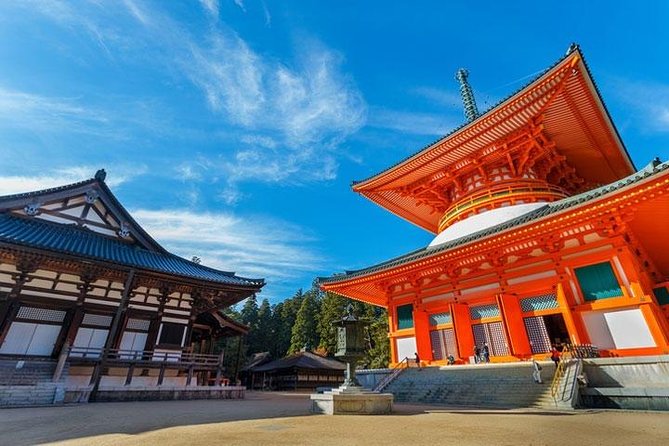 Mt. Koya Sacred Half-Day Private Tour With Government Licensed Guide - Booking Confirmation and Requirements