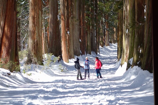 Nagano Winter Special Tour "Snow Monkey and Snowshoe Hiking"!! - Cancellation Policy