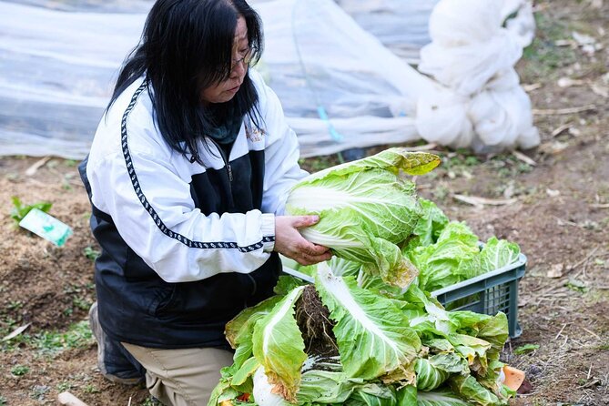 Nara : Farming Experience in a Beautiful Rural Village - Guided Farm Tour Details