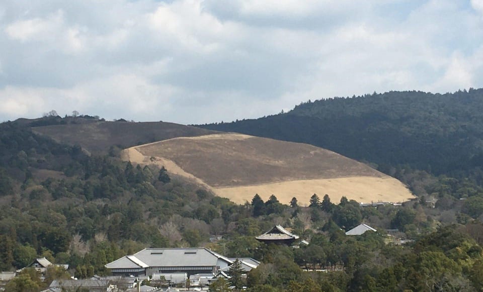 Nara: Half-Day Private Guided Tour - Additional Information