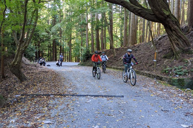 Nara - Heart of Nature Bike Tour - Additional Details