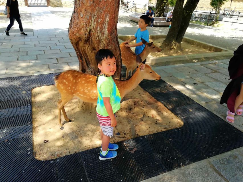 Nara: Nara Park Private Family Bike Tour With Lunch - Directions