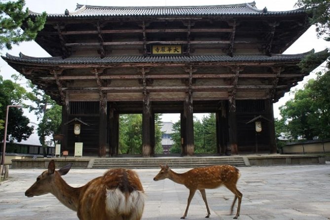 Nara Private Tour by Public Transportation From Kyoto - Frequently Asked Questions