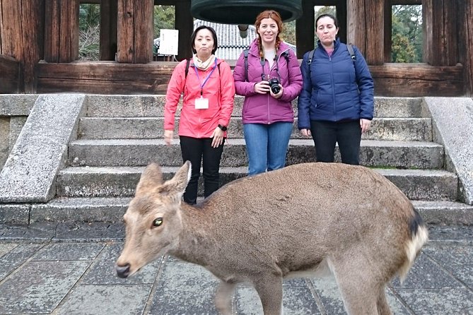 Nara Todaiji Lazy Bird Tour - Tour Inclusions