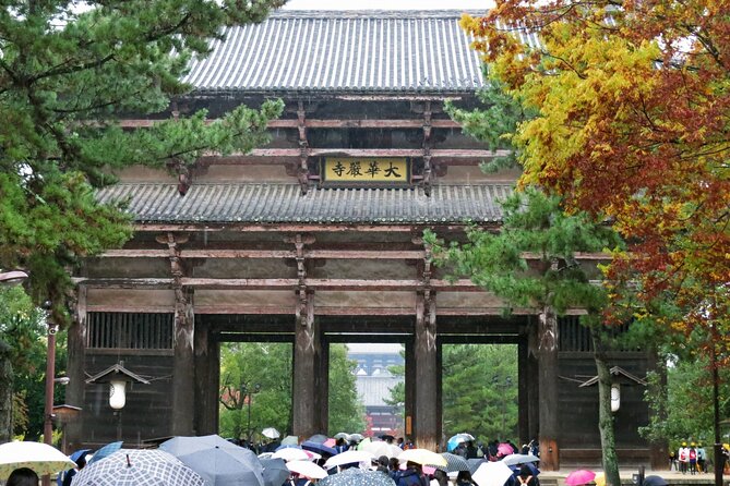 Nara World Heritage Private Tour - Weather and Operational Considerations